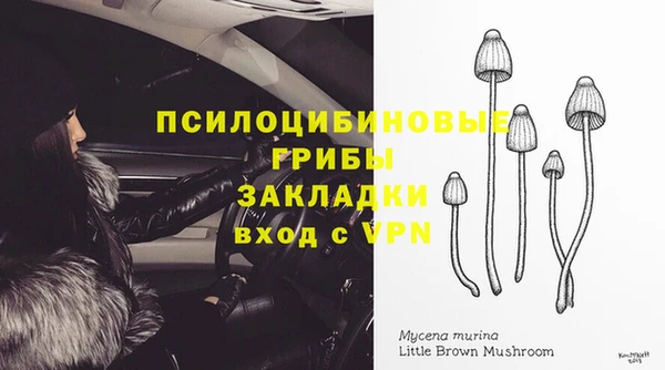 кокс Краснослободск