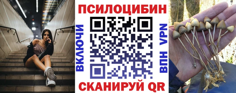 Галлюциногенные грибы Psilocybine cubensis Купить где Смоленск